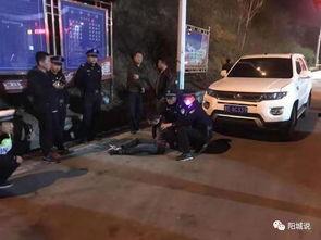 鹤壁汽车爆料事件视频最新,视频揭露惊人内幕，真相令人震惊！